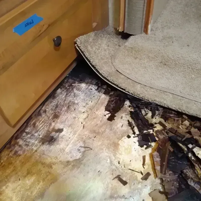 Wood Floor Water Damage in East Dubuque, IL